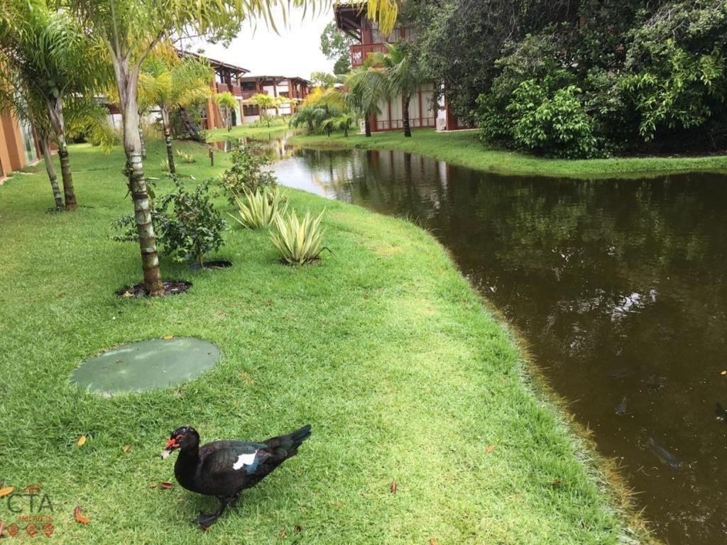 Villa Da Enseada, Praia Do Forte Eksteriør billede