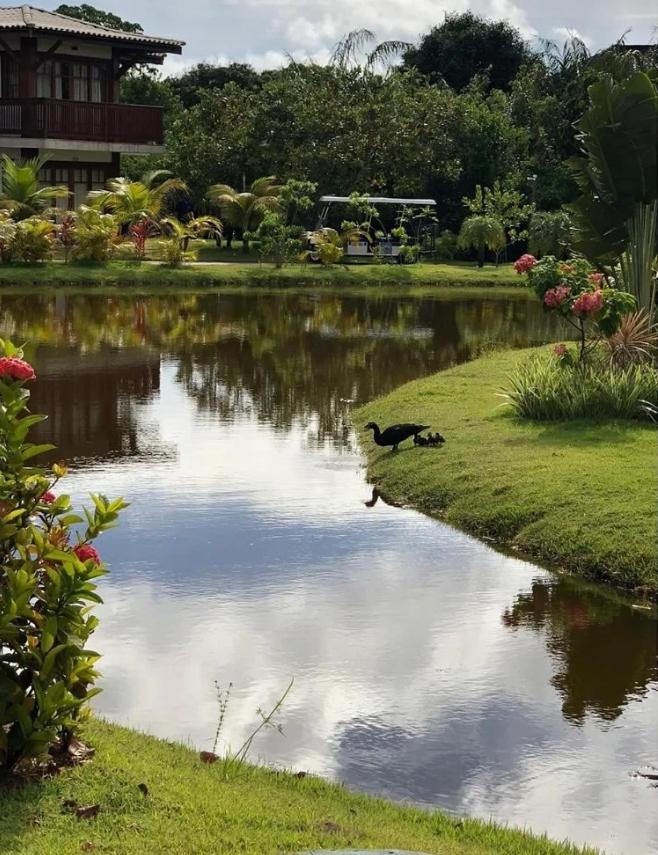 Villa Da Enseada, Praia Do Forte Eksteriør billede
